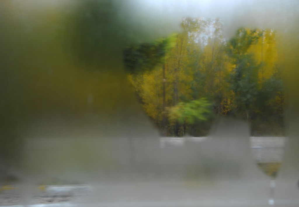 Adıyaman-Malatya minibüsü