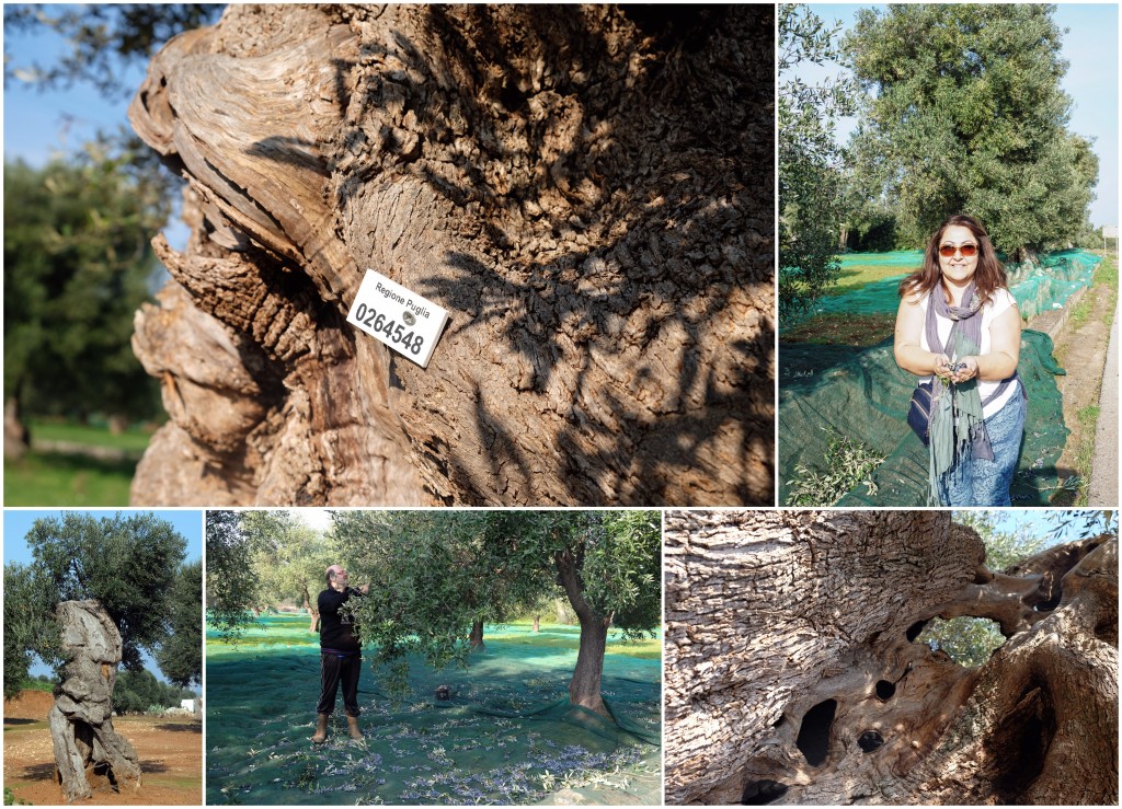 Puglia-Ostuni-Masseria