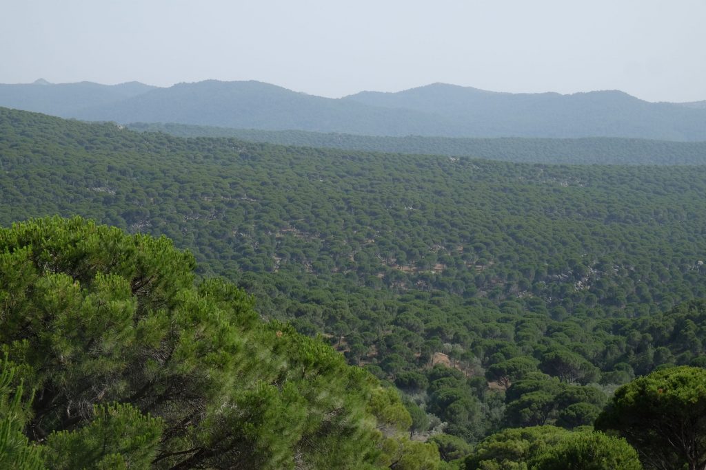 Kozak Yaylasi